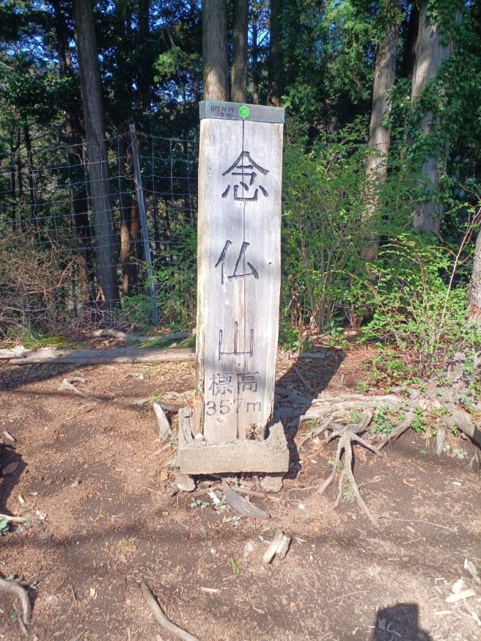 早朝山歩きのすすめ omotan界隈