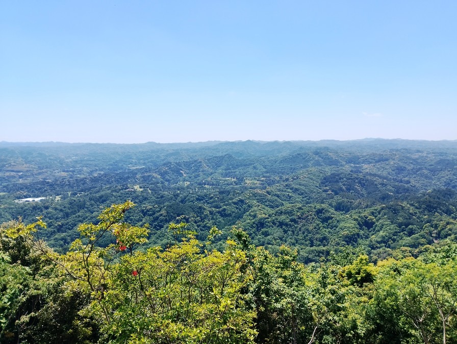 2026.5.16千葉県鹿野山9名参加でした　次回6/13千葉の海釣り公園釣り企画開催募集します