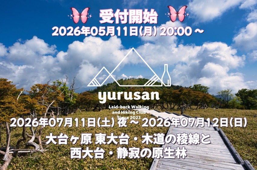 【登山仲間を募集】大台ヶ原 東大台・木道の稜線と西大台・静寂の原生林