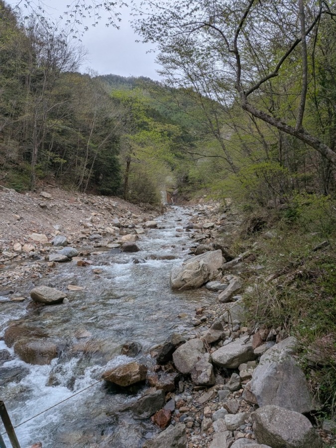 山仲間募集