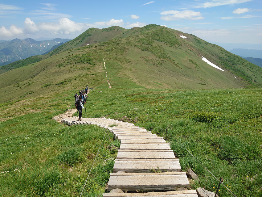 6/13(土)花の百名山 平標山&仙ノ倉山(2026m) 同行者募集【所沢深夜発】