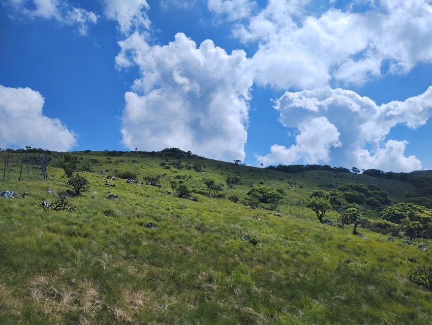 7月3日-4日 旭岳とトムラウシ