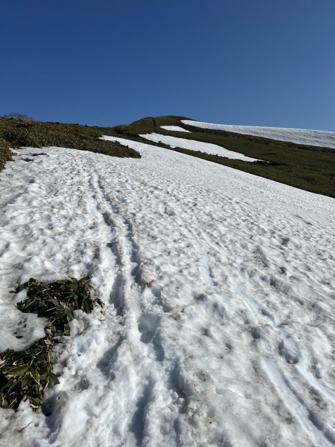 山仲間募集。