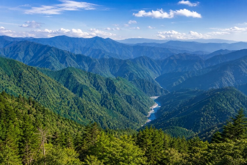 一緒に登ってください 主に紀伊山地