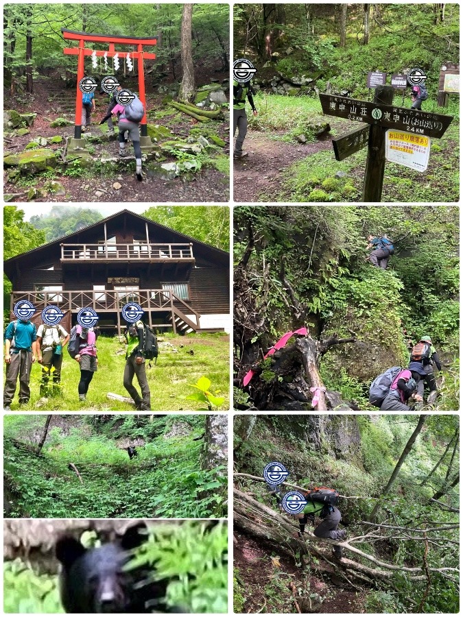 ⚠️ 熊 出没🧸注意⚠️ 庚申山 07.4