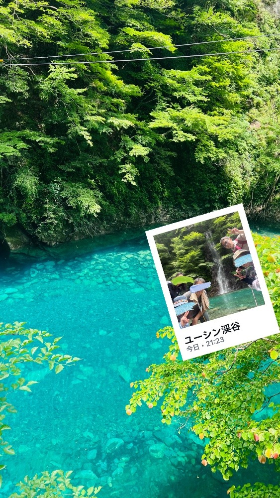 ユーシンブルー🩵
