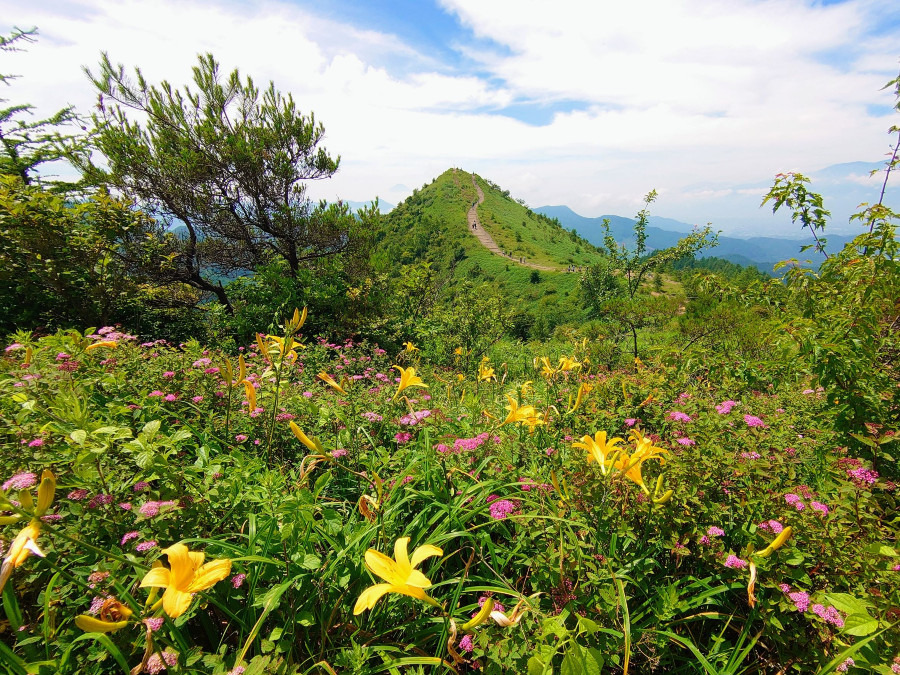 大盛山・飯盛山
