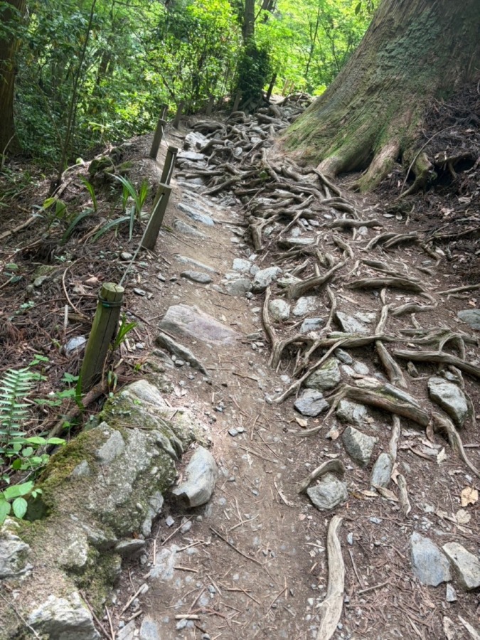 🔰山仲間募集