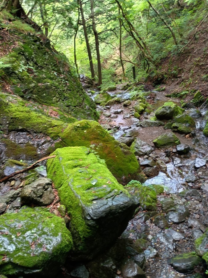 棒ノ嶺に行ってきました