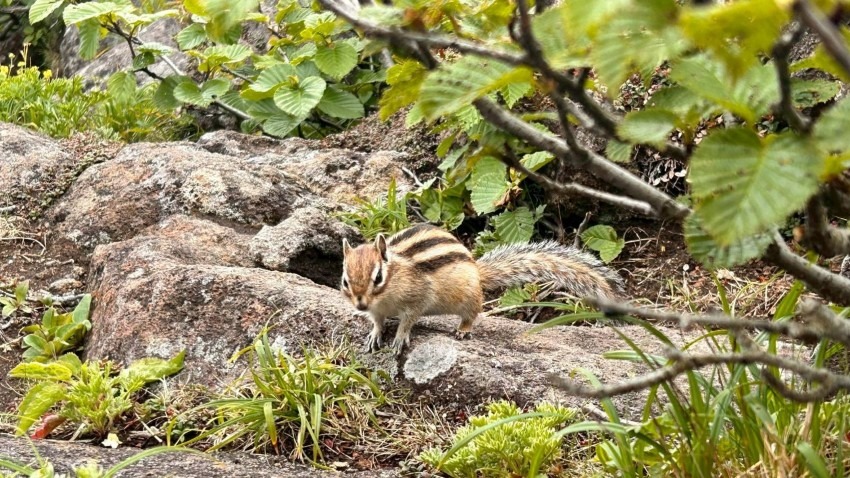 九州より道東山旅!
