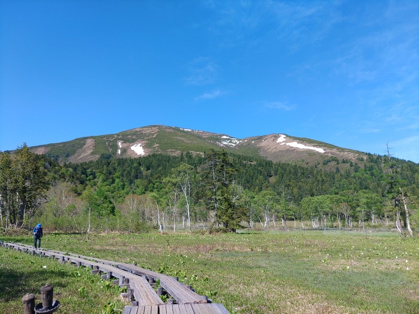 山友募集