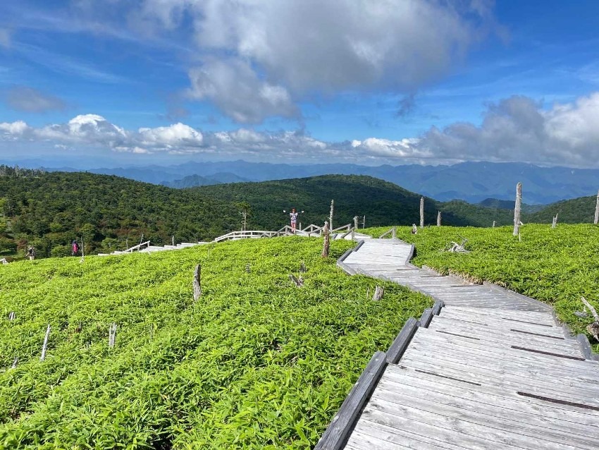 9/27(日)大台ヶ原、50～65歳代の登山仲間募集