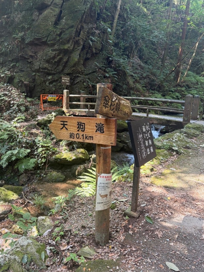 山仲間募集9/6檜洞丸(神奈川)