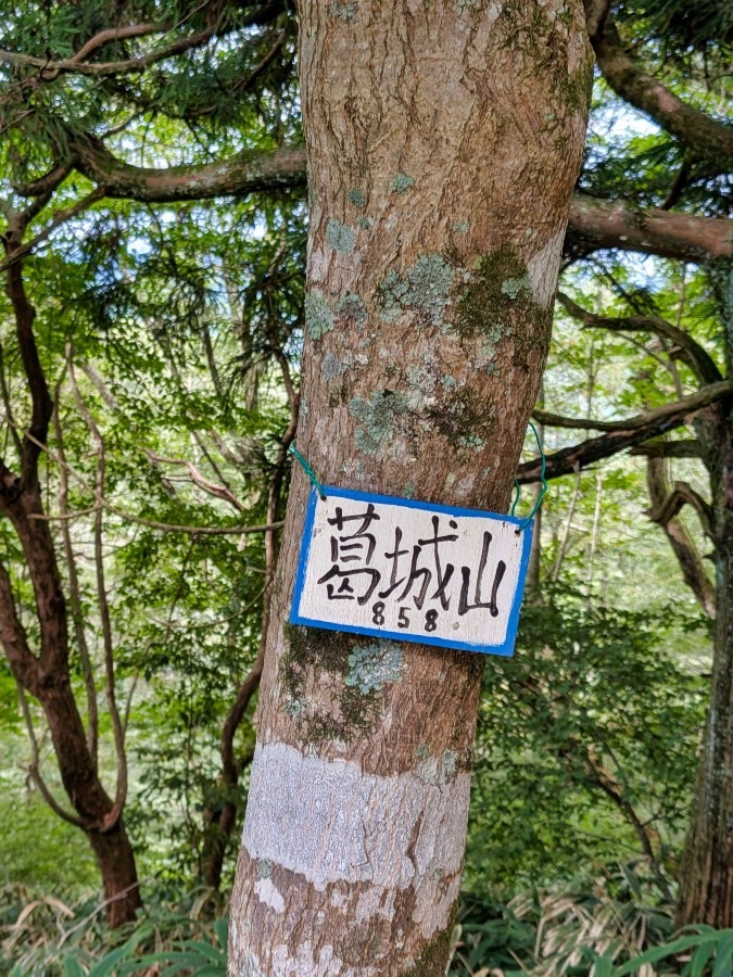第847回ハイキング 和泉葛城山から犬鳴山温泉を結ぶ初秋の縦走路