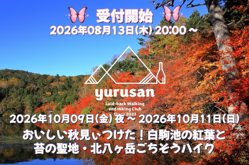 【登山仲間を募集】おいしい秋見ぃつけた!白駒池の紅葉と苔の聖地・北八ヶ岳ごちそうハイク
