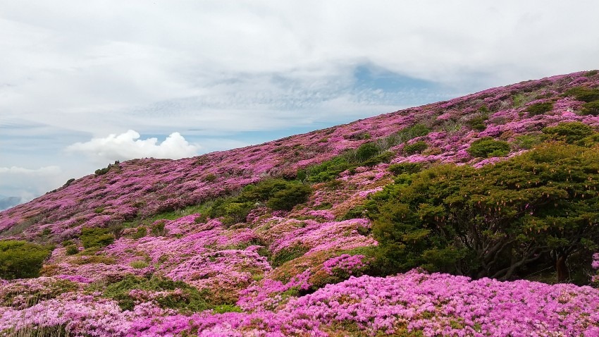 女性同士で山にご一緒しませんか