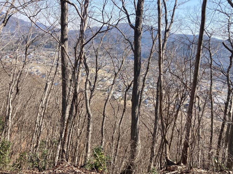 202605　長瀞アルプス～宝登山（裏から）