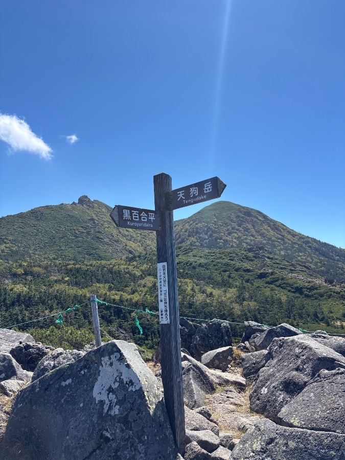西天狗岳→東天狗岳→根石岳