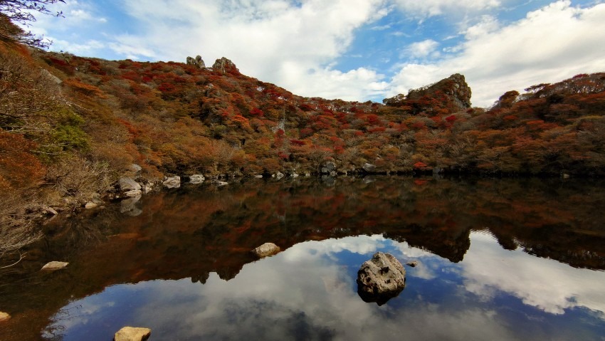秋ですね！紅葉シーズンです！