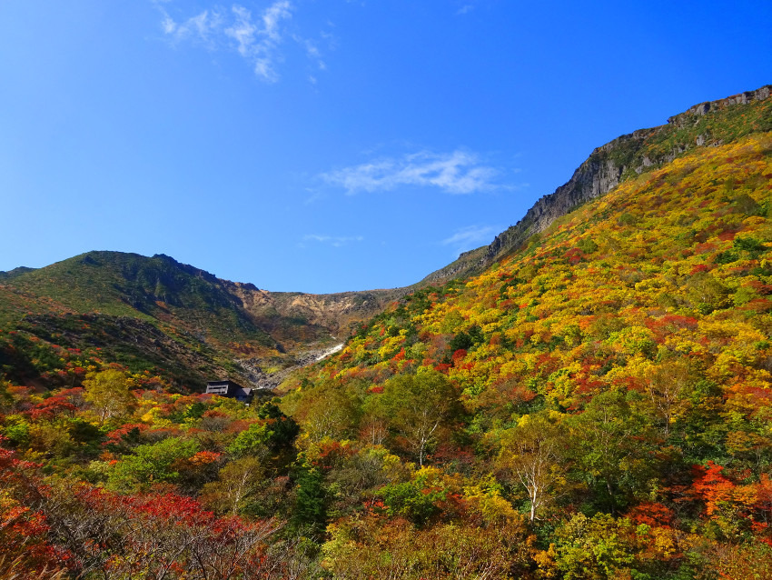 【13時締切】10/10(土)紅葉の安達太良山 同行者募集【所沢深夜発】