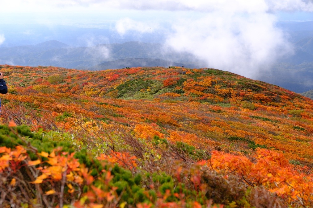 2026/10/7 栗駒山