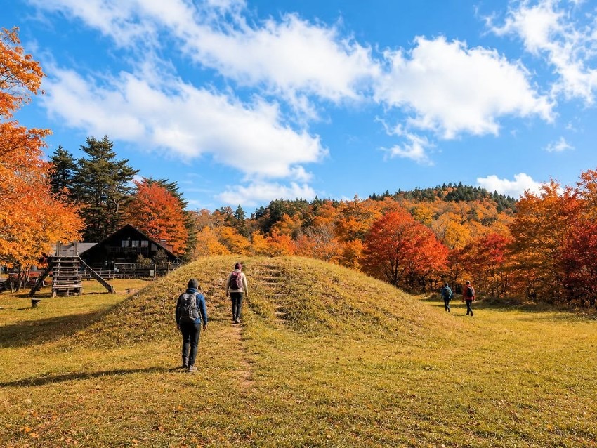 【11/23・大阪】あのワクワクをもう一度!人気の金剛山ハイキング|山歩き仲間募集