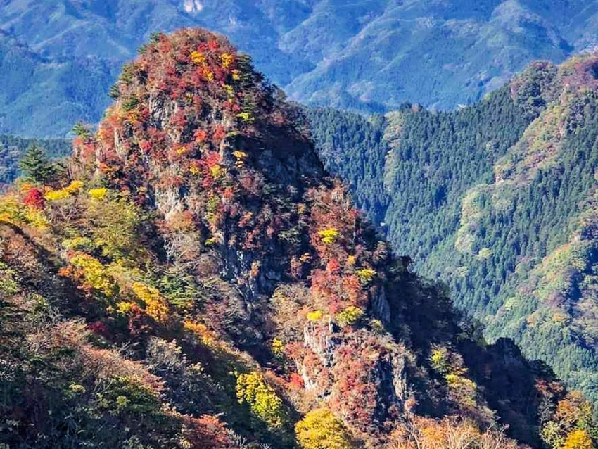 【急募】10/31(土)紅葉の烏帽子岳(西上州)同行者募集【所沢・東所沢発】
