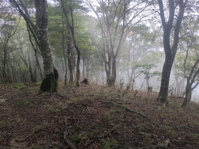 10/10か11に変更　中津川市の三界山