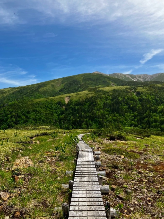 登山仲間募集