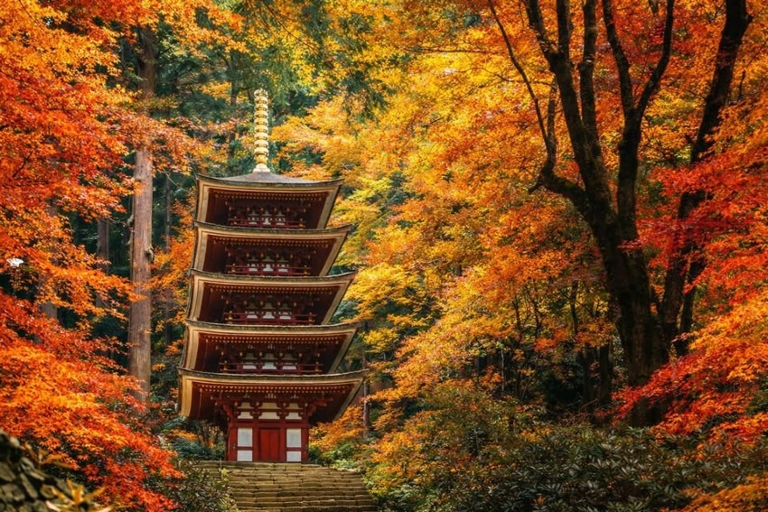 【11/29・奈良】晩秋の室生寺へ紅葉狩り