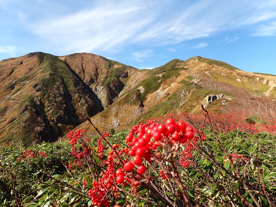 大朝日岳　10/18