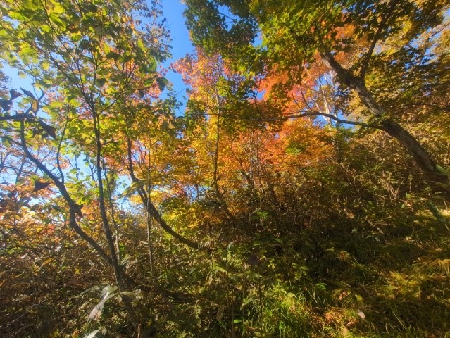 リストにある岐阜の山に同行しませんか？