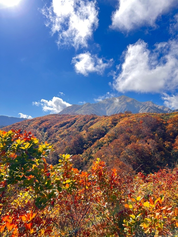 越後駒ヶ岳🍁