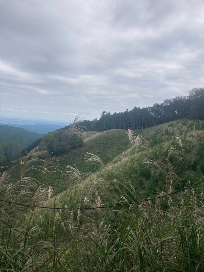 202610高水三山