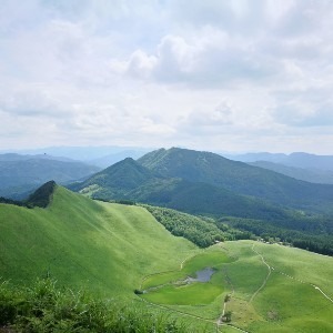 みーこ