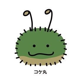 らっこ