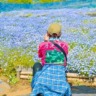 きのたろう