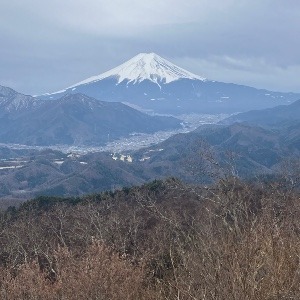 山の扇