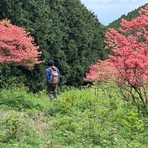 ゆう。