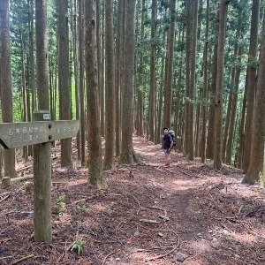 ずみお