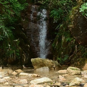 山奥の地蔵