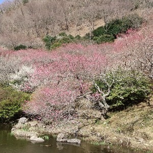 ふくむすび