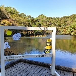 リコピン