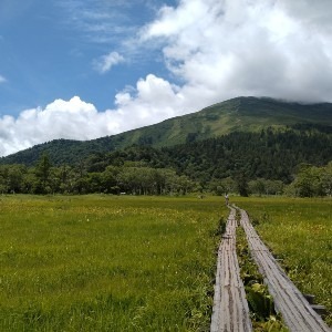 はるかぜ