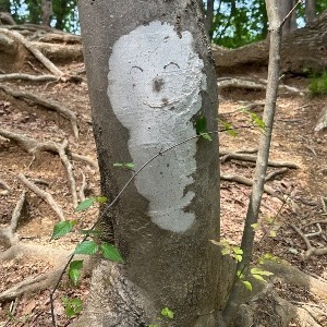 稜線歩き