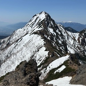 negi