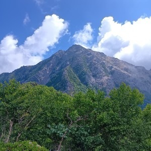 yu-yu