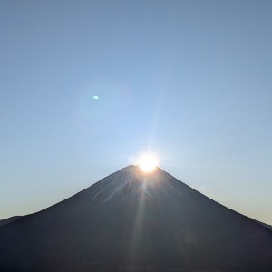 ノビオ