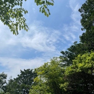 こもみ