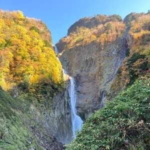 Masaki5189